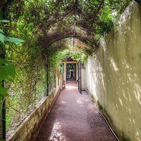 Santa Reparata Apartment With Patio And Terrace Флоренция Экстерьер фото